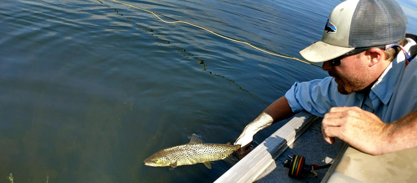 Joe Howry, TroutHunter guide, releases a large brown trout