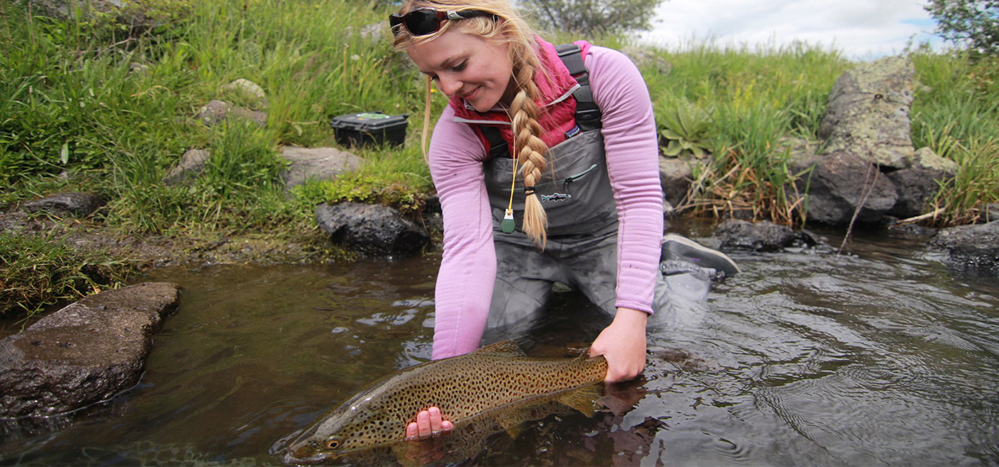 Karlie Roland, TroutHunter guide, releases a large brown trout